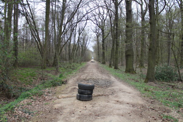 Reifen auf dem Waldweg mit Bäumen in Hambach