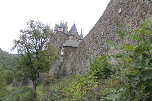 Alte Burgmauern mit Bäumen
